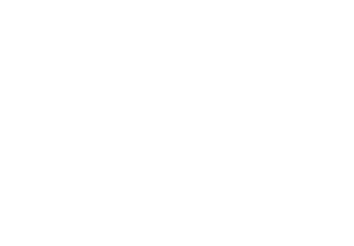 Logo Roadtrek